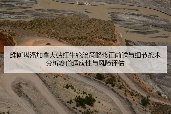 维斯塔潘加拿大站红牛轮胎策略修正前瞻与细节战术分析赛道适应性与风险评估